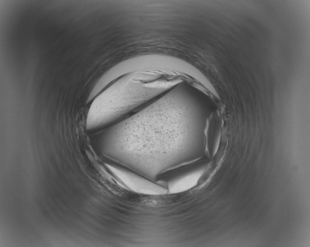 X0000082170174200702092253