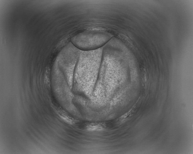 X0000082170175200702092253