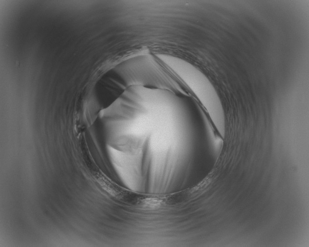 X0000082170176200702092253