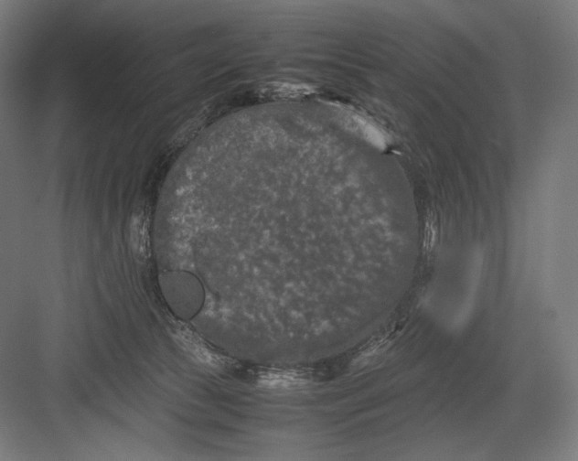 X0000082170177200702092253