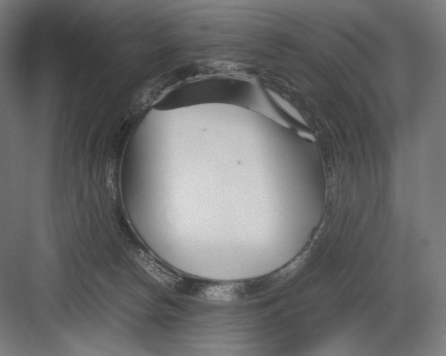 X0000082170178200702092253