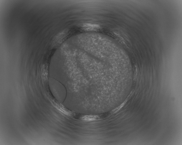 X0000082170179200702092253