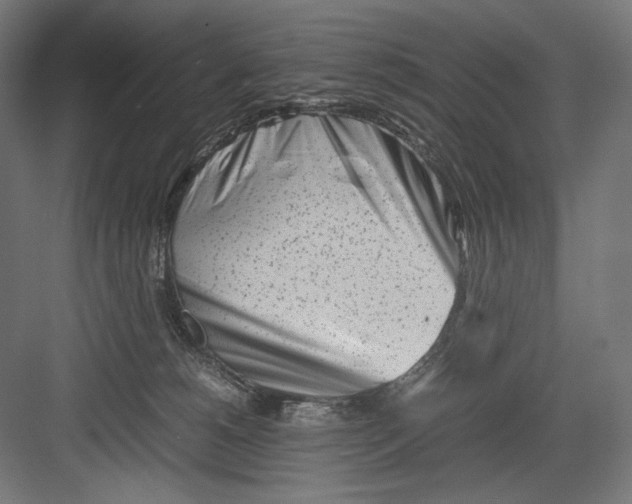 X0000082170180200702092253