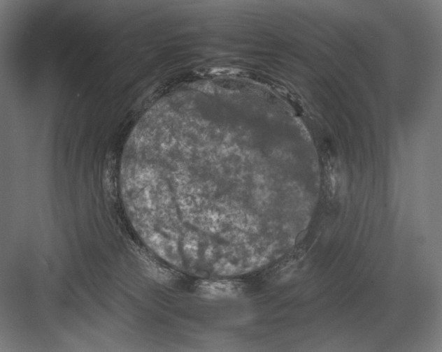 X0000082170181200702092253