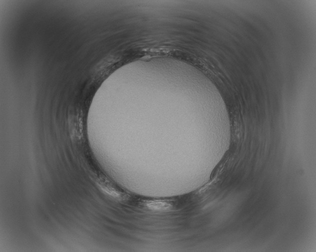 X0000082170183200702092253