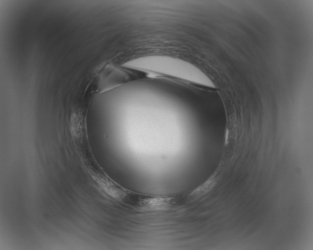 X0000082170184200702092253