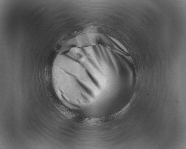 X0000082170186200702092253