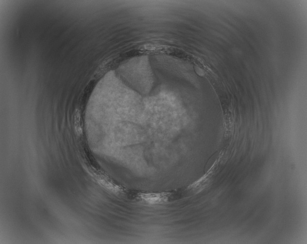 X0000082170187200702092253