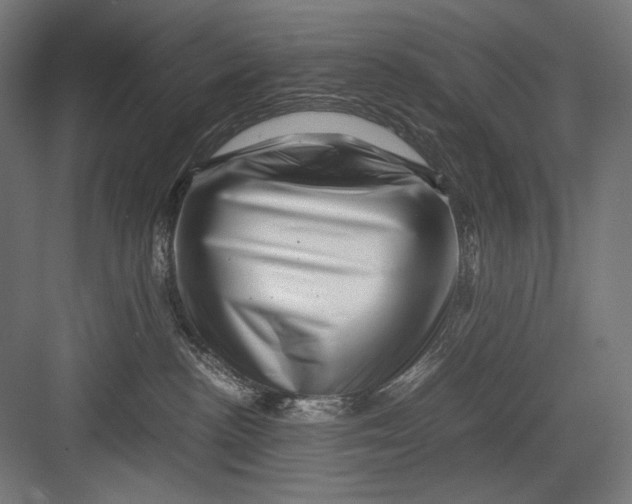 X0000082170188200702092253