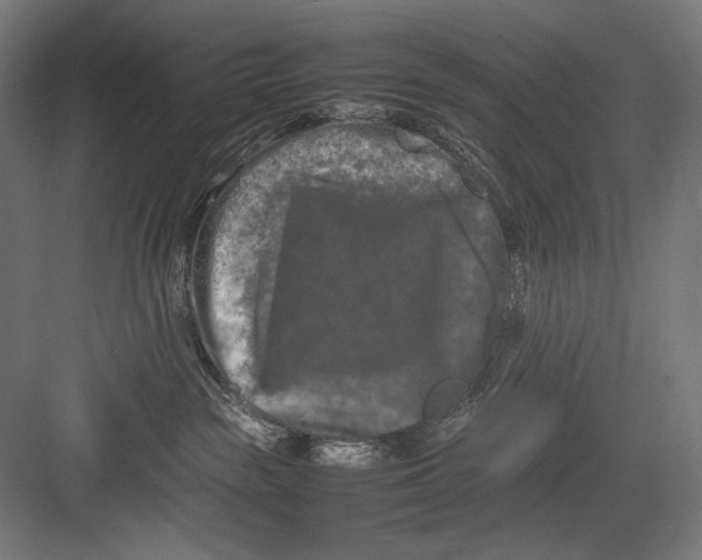 X0000082170189200702092253