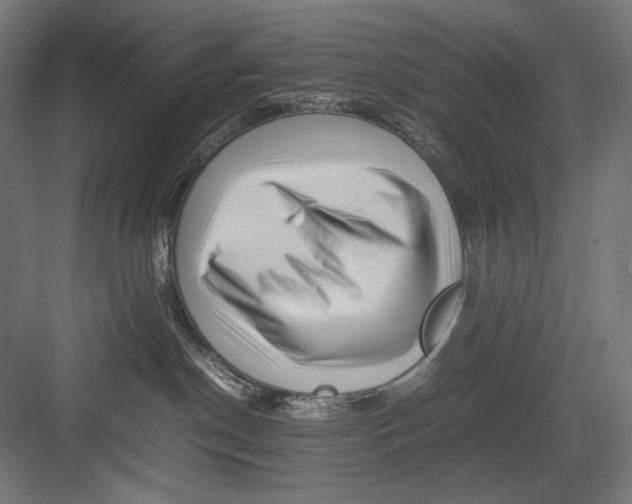 X0000082170190200702092253