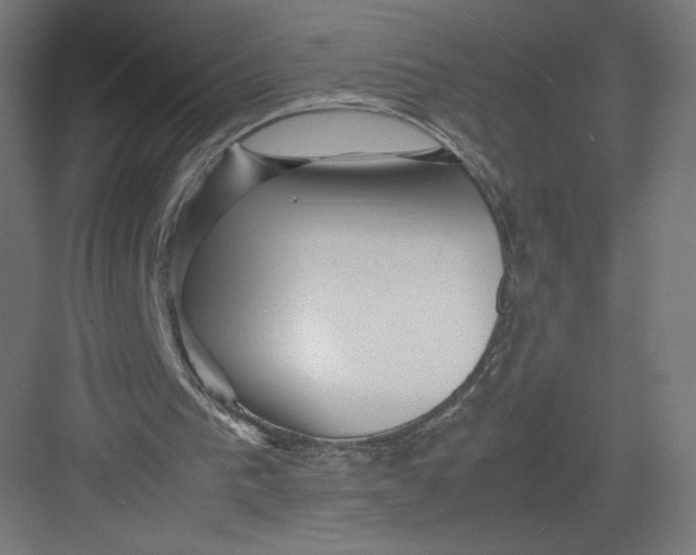 X0000082170193200702092252