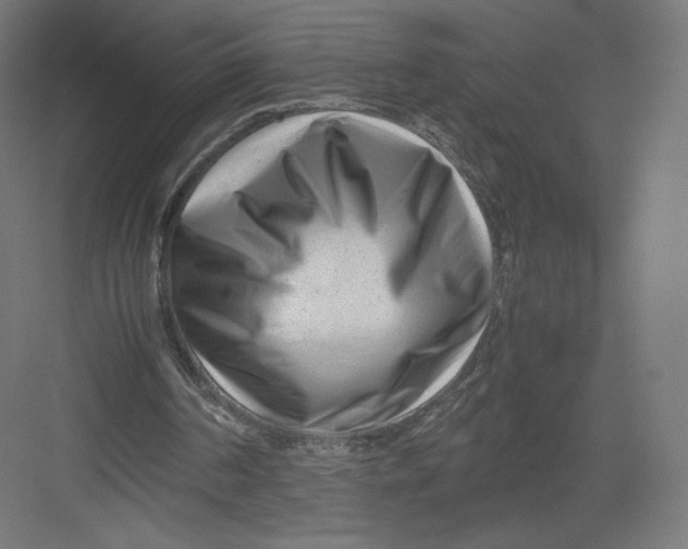 X0000082170194200702092252