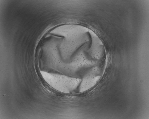 X0000082170195200702092252