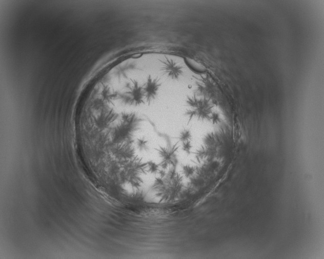 X0000082170198200702092252