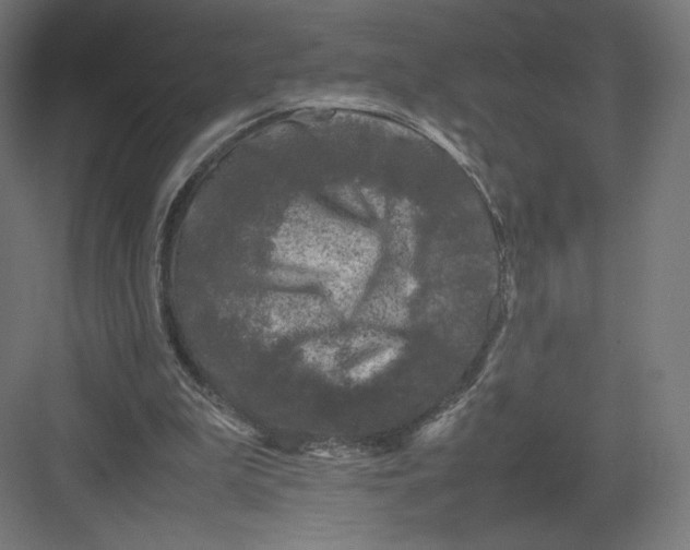 X0000082170199200702092252