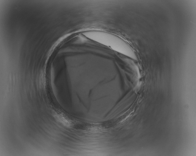 X0000082170200200702092252