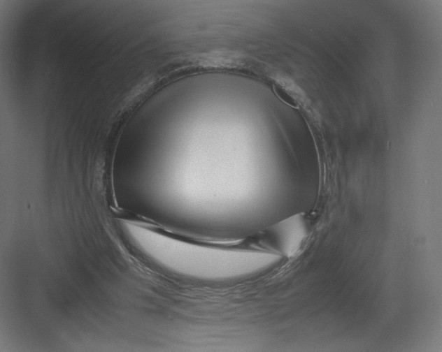 X0000082170201200702092252