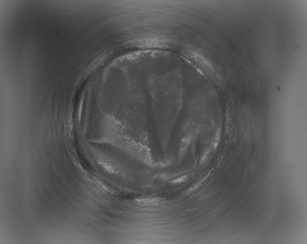 X0000082170202200702092252