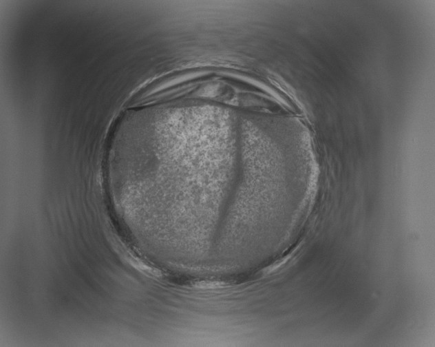 X0000082170203200702092252