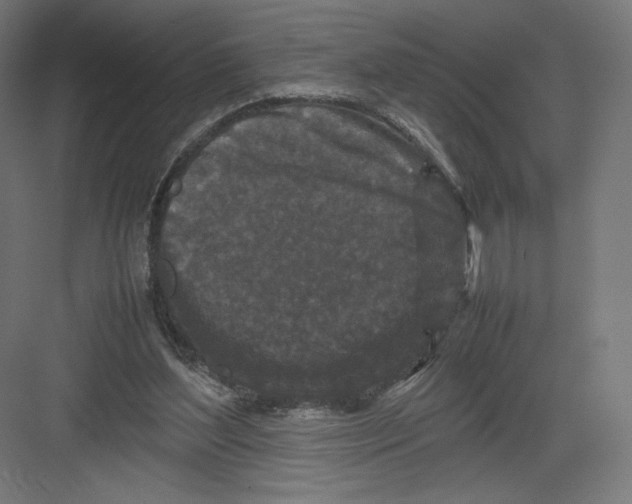 X0000082170204200702092252