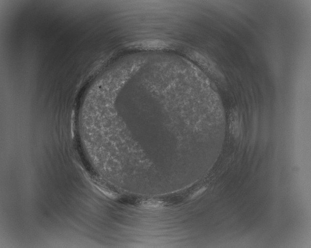 X0000082170206200702092252