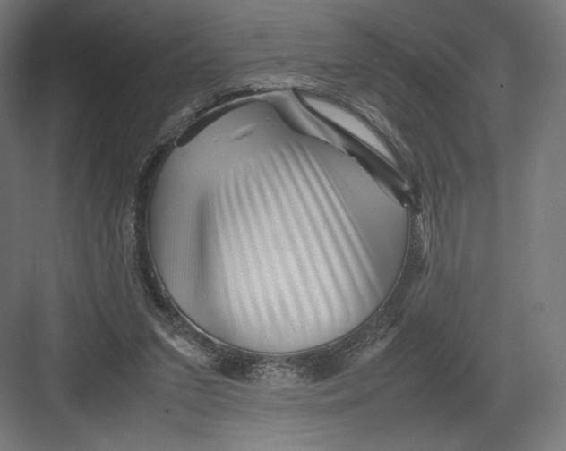 X0000082170207200702092252