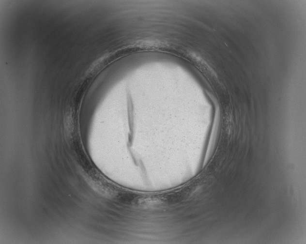 X0000082170208200702092252