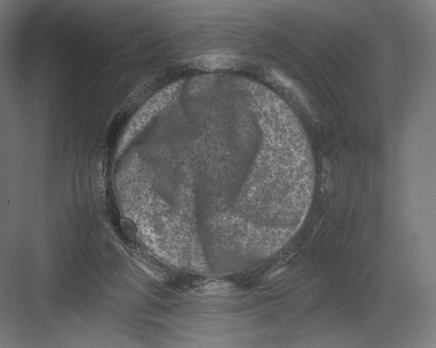 X0000082170210200702092252