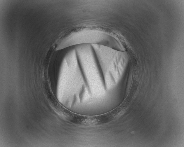 X0000082170213200702092252