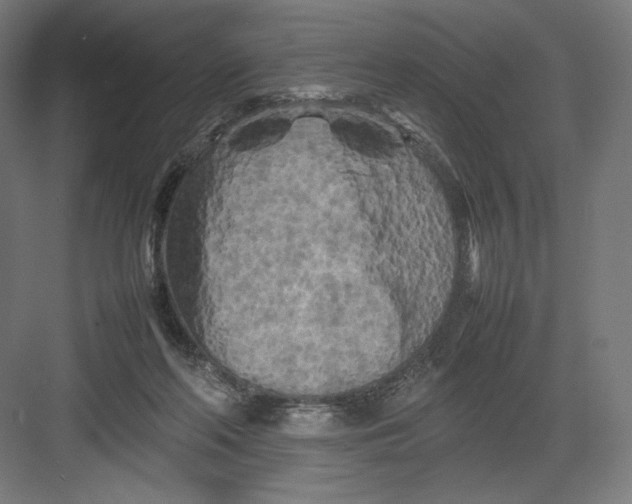 X0000082170214200702092252