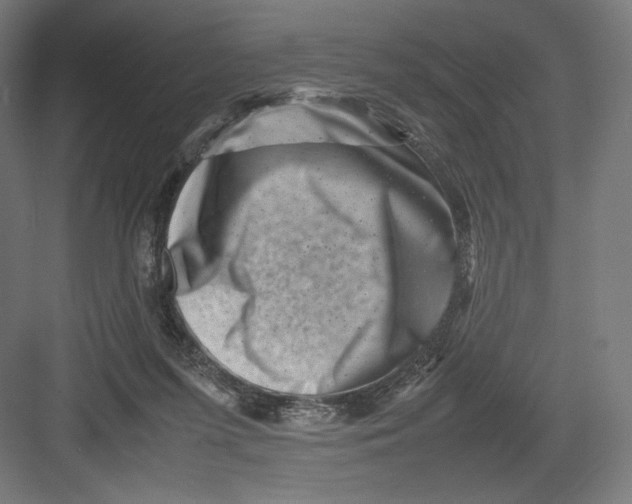 X0000082170215200702092252