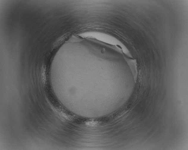 X0000082170216200702092252