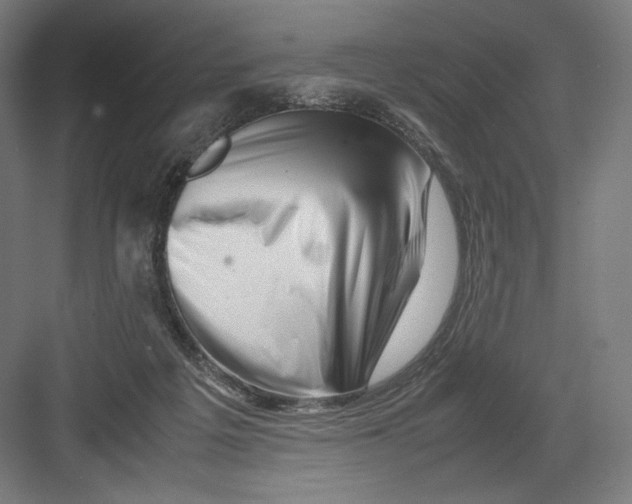 X0000082170217200702092252