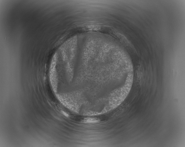 X0000082170218200702092252