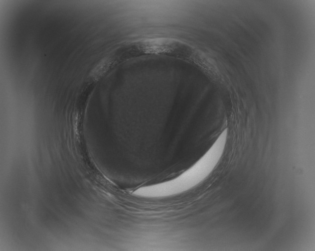 X0000082170219200702092252