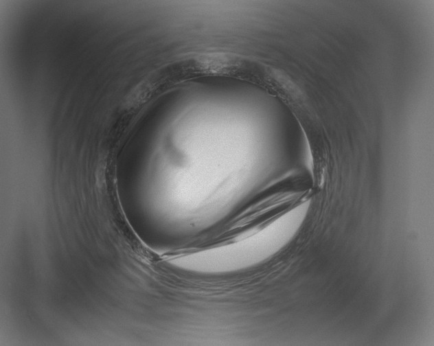 X0000082170221200702092252