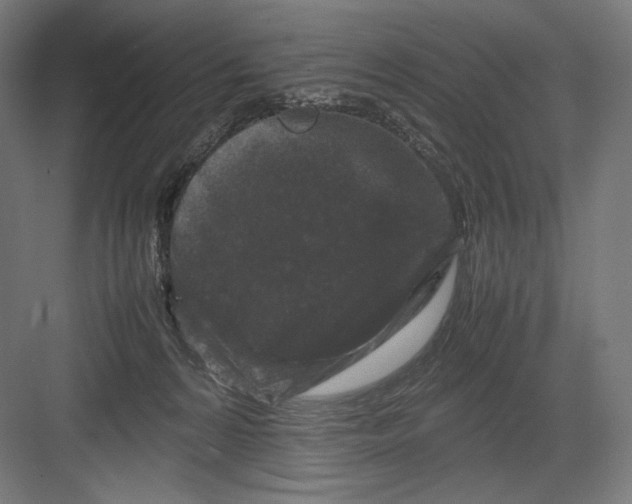 X0000082170224200702092252