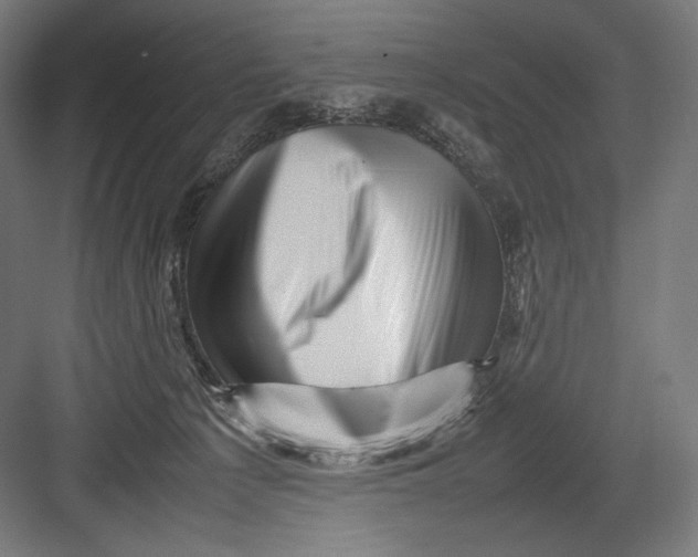 X0000082170225200702092252