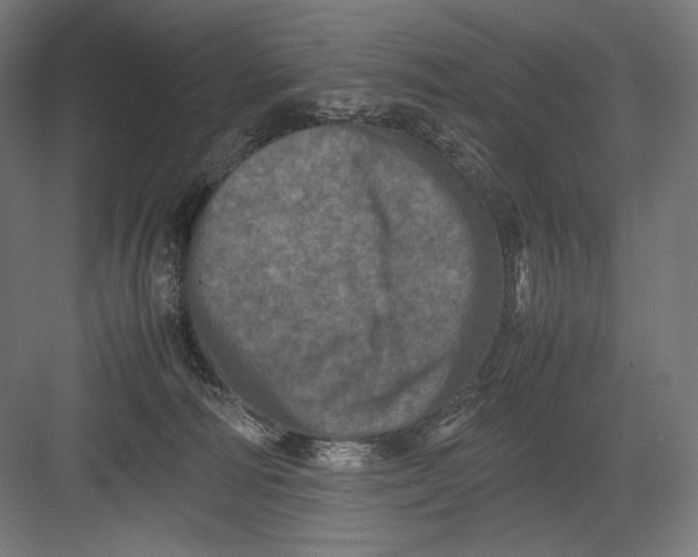 X0000082170226200702092252