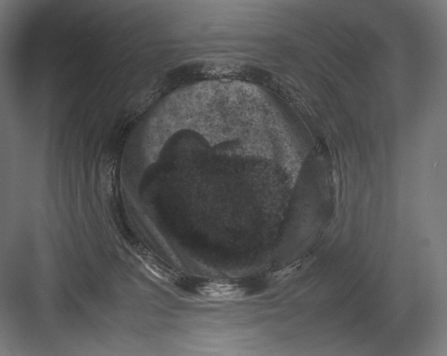 X0000082170227200702092252