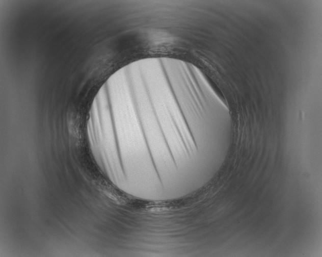 X0000082170228200702092252