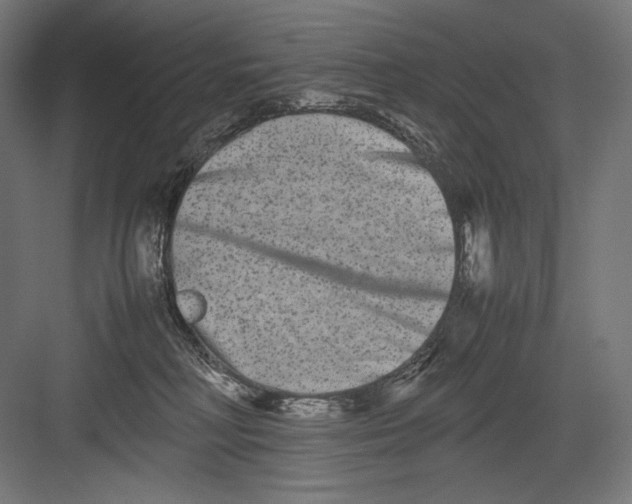 X0000082170230200702092252