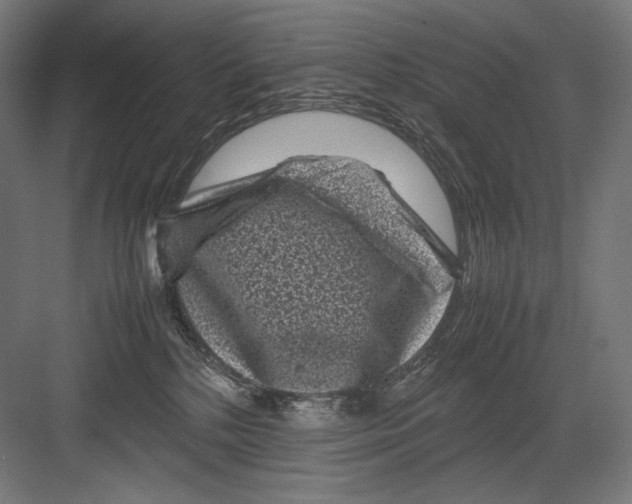 X0000082170232200702092251