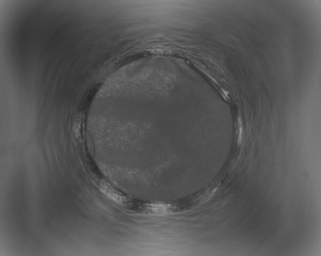 X0000082170233200702092251