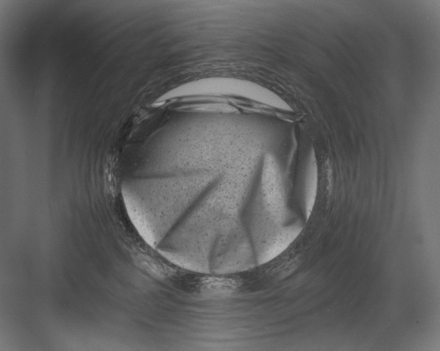 X0000082170234200702092251