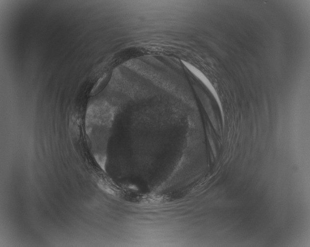 X0000082170235200702092251