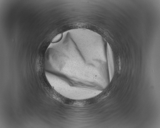 X0000082170236200702092251