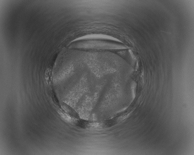 X0000082170237200702092251