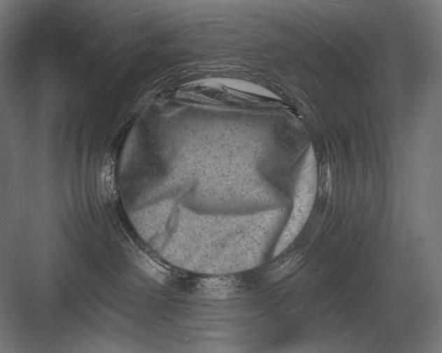 X0000082170238200702092251